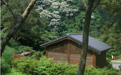 照片：「ann」BLOG